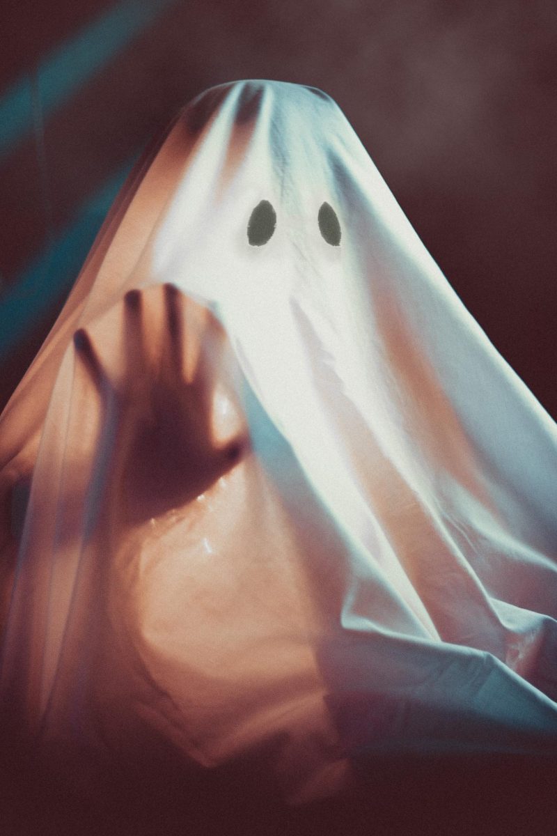 Photo by Ryan Miguel Capili: https://www.pexels.com/photo/ghost-costume-3993249/