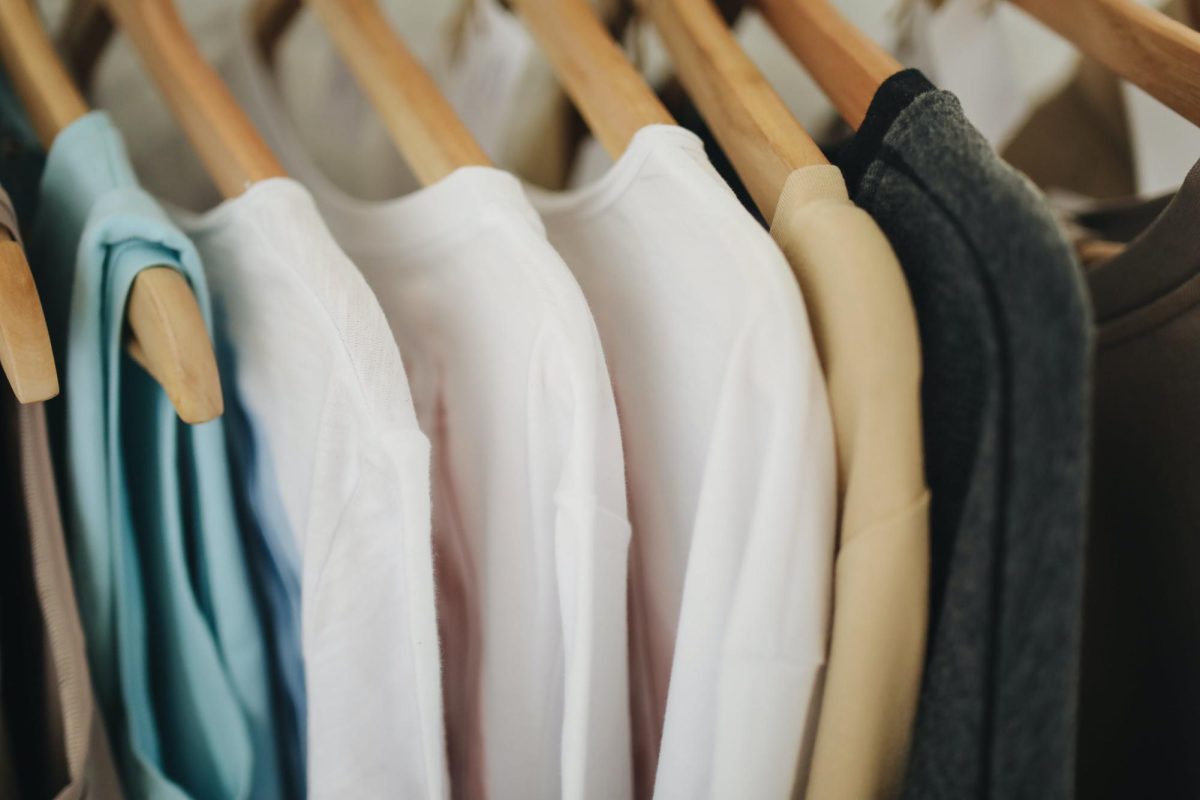 Photo by Polina Tankilevitch: https://www.pexels.com/photo/white-long-sleeves-shirts-on-brown-wooden-clothes-hanger-3735641/