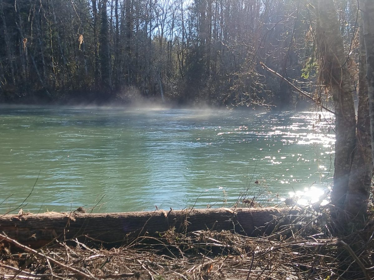 View of Skagit River over Sunrise; Water Vapor rising from water